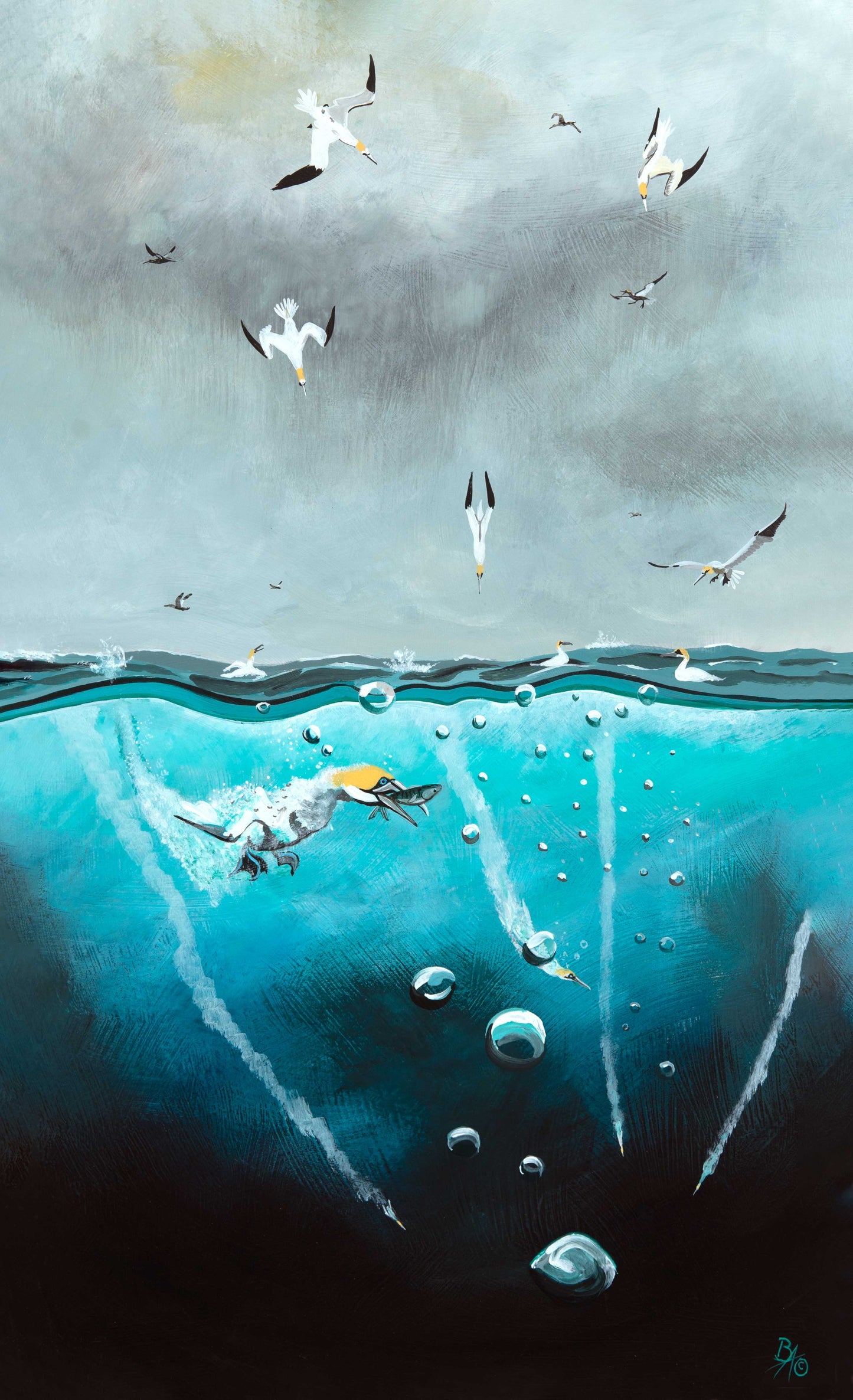 'Diving Gannets' Original Painting