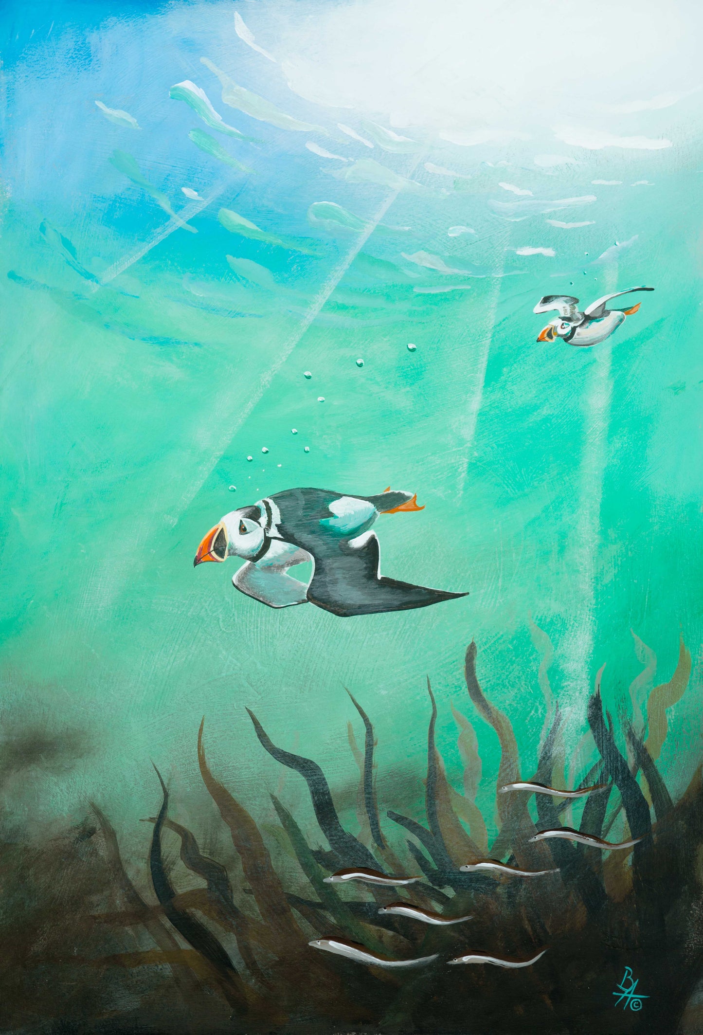 'Diving Puffins' Original Painting