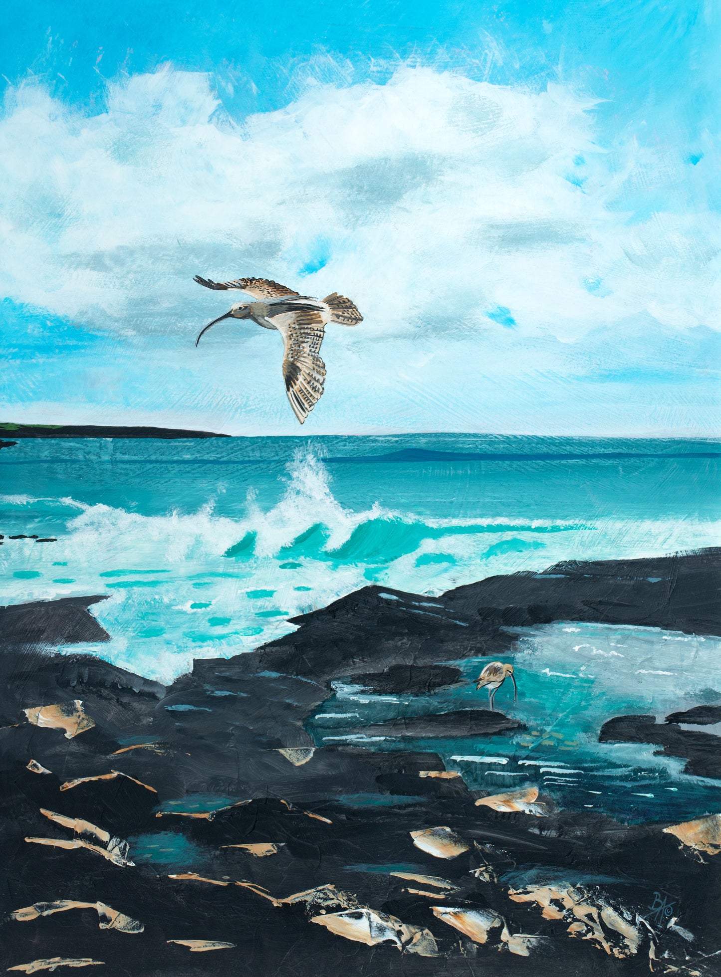 'Harlyn Curlew' Original Painting