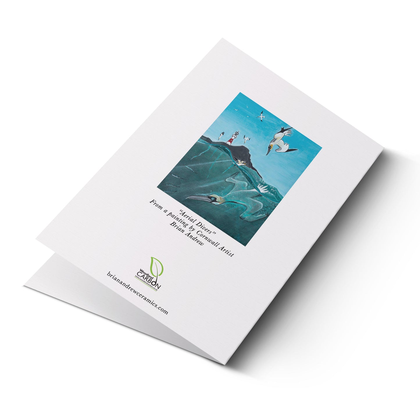 'Aerial Divers' Greeting Cards (Pack of 12)