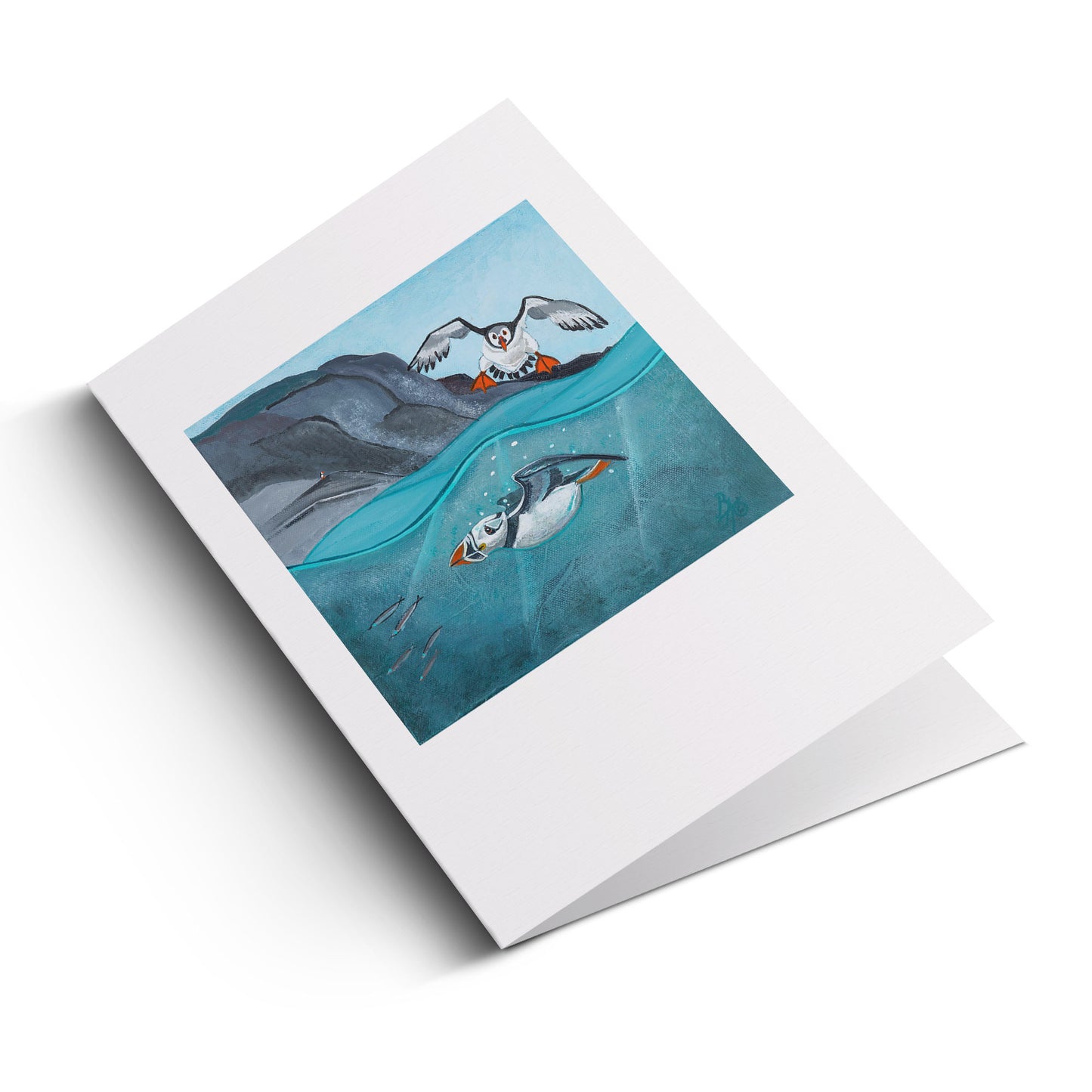 'Air Brakes' Greeting Cards (Pack of 12)