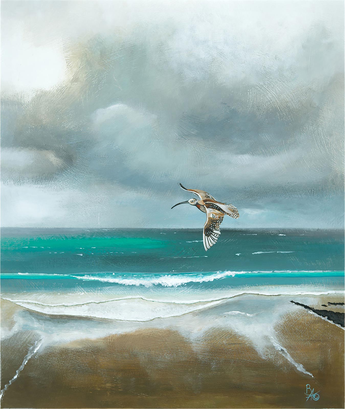 'Curlew At Widemouth' Limited Edition Giclée Art Print