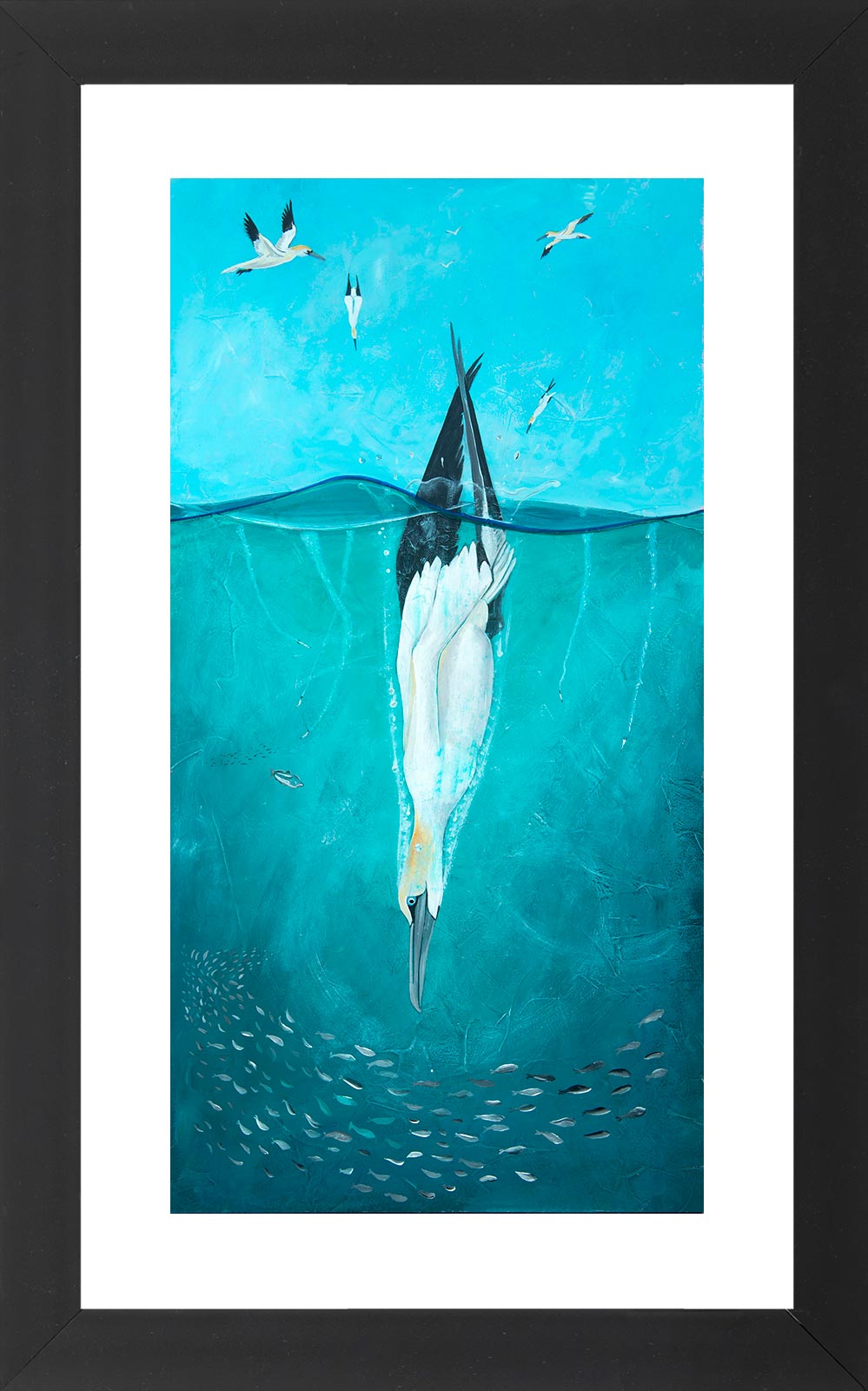 'Diving Gannet' Limited Edition Giclée Art Print